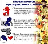 грибами